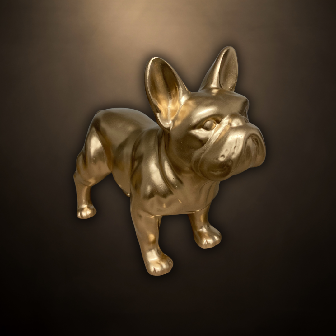 Französische Bulldogge gold