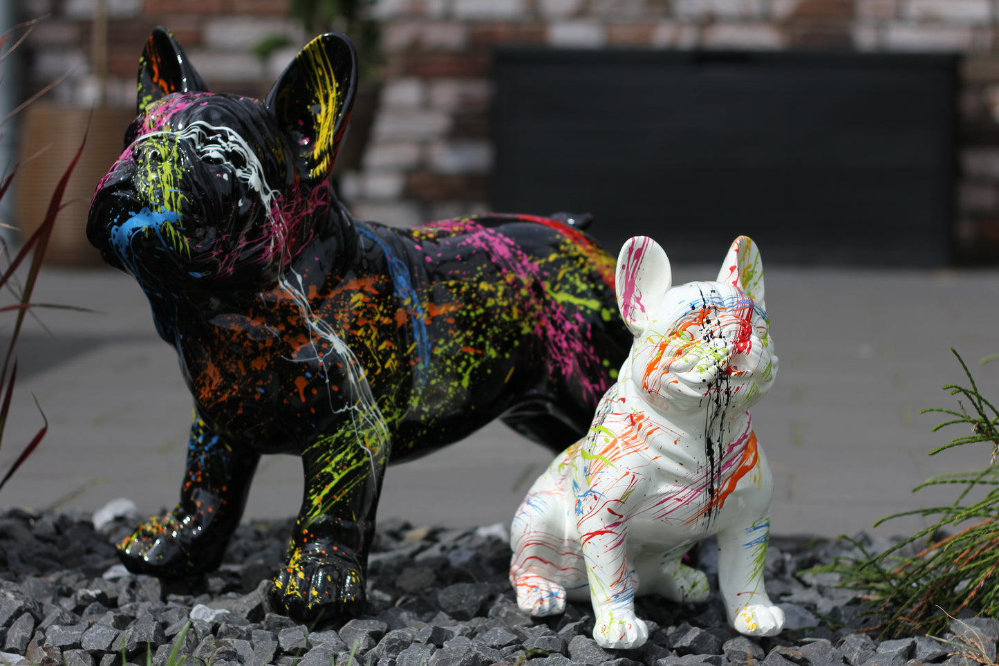 Französische Bulldogge weiß splash - 32cm