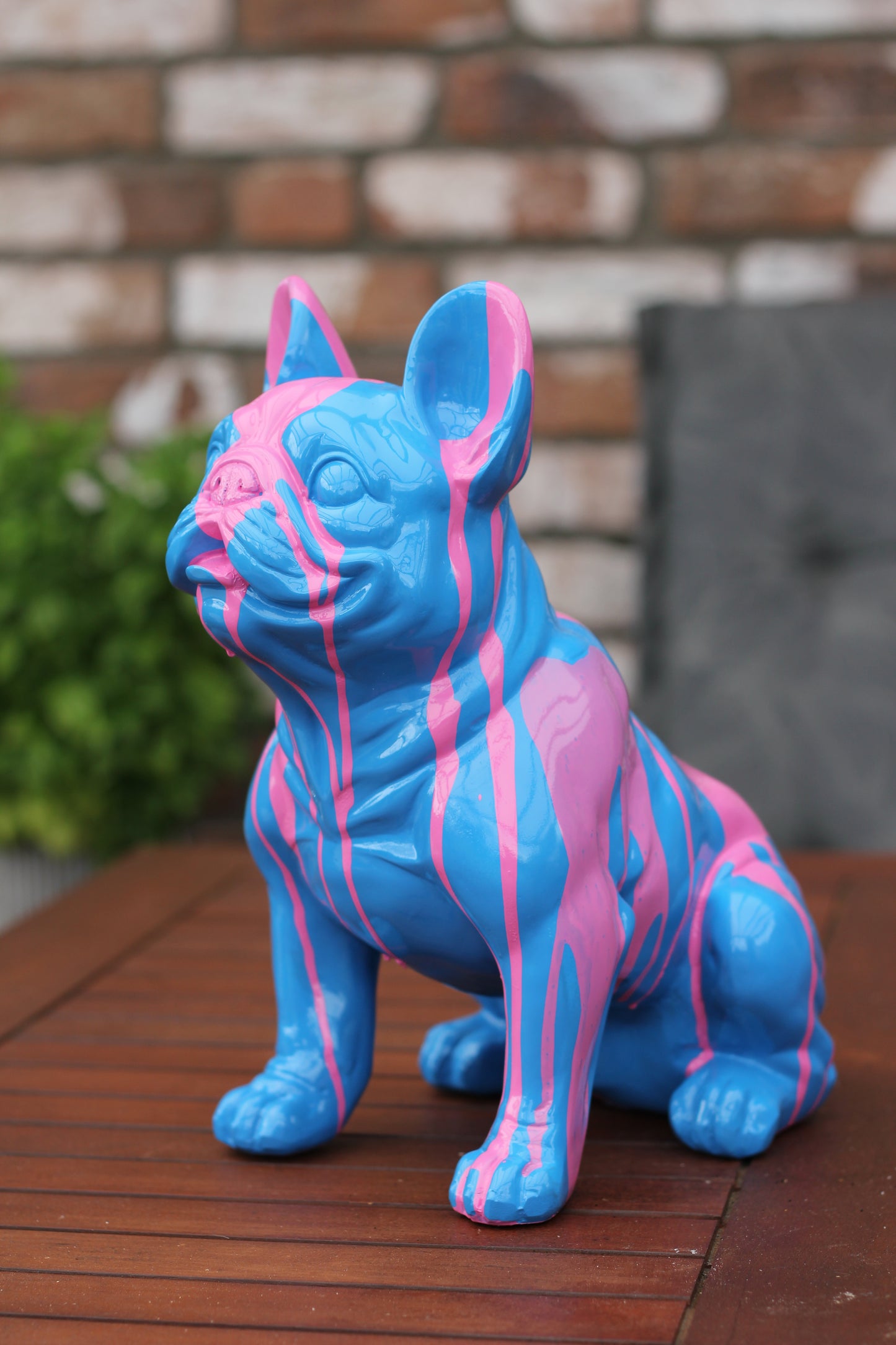 Französische Bulldogge blau mit pinken Akzenten - 32cm