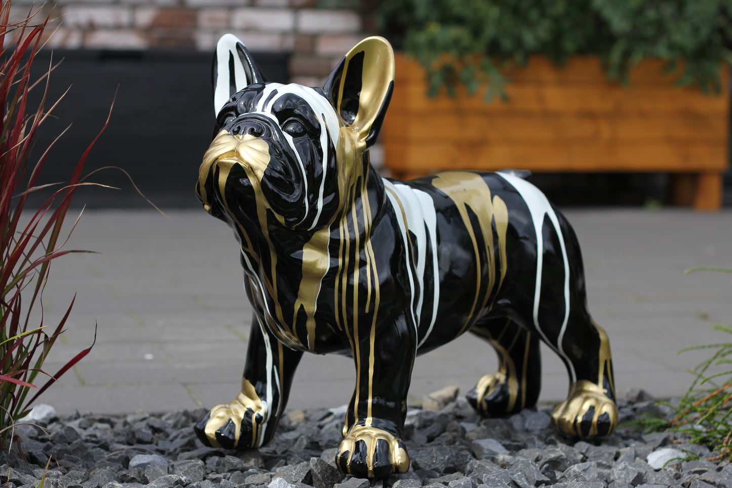 Französische Bulldogge schwarz-weiß-gold - 47cm