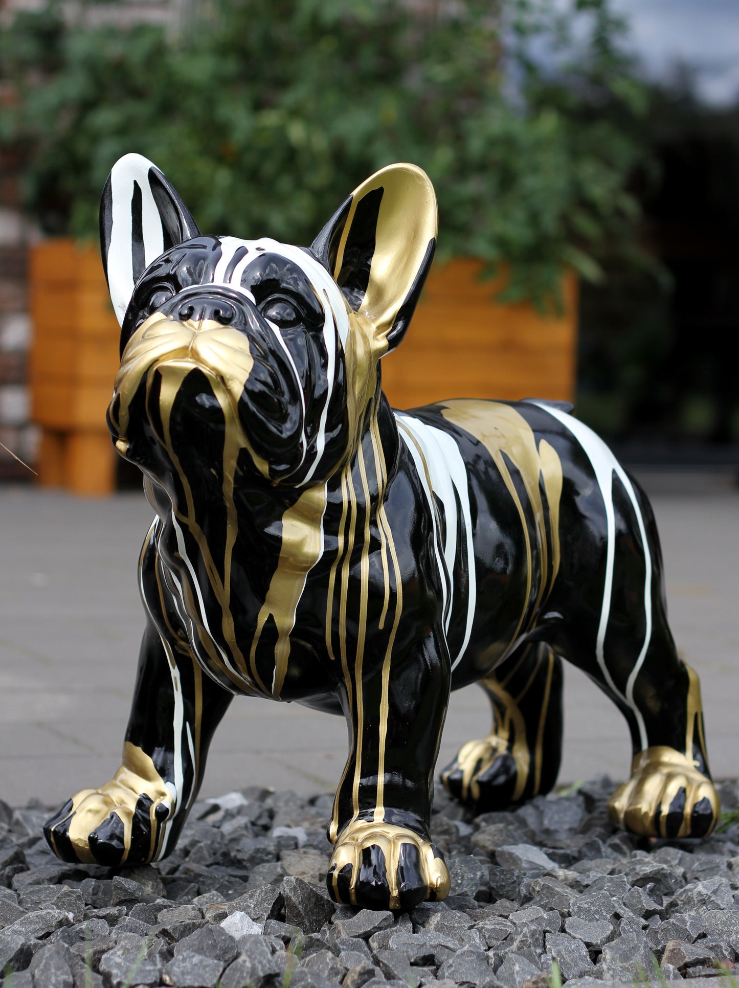 Französische Bulldogge schwarz-weiß-gold - 47cm