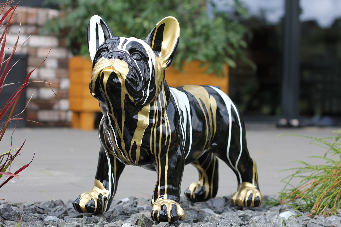 Französische Bulldogge schwarz-weiß-gold - 47cm
